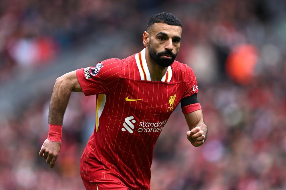 我们期待更 我们期待更